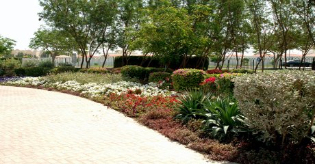 حديقة دحل الحمام Dahl Al Hamam Park 