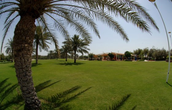 حدائق الدوحة قطر