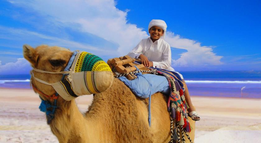 النشاط السياحي بمدينة مسيعيد قطر